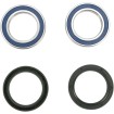 Set rulmenți și garnituri față pentru roți BETA/KTM ALL BALLS 25-1402-A Set rulmenți și garnituri față pentru roți BETA/KTM ALL BALLS 25-1402-A thumb