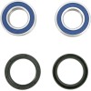 Set rulmenți și garnituri pentru roți față KAWASAKI/TRIUMPH ALL BALLS 25-1404-A