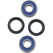 Set rulmenți față pentru roată # ALL BALLS 25-1736 Set rulmenți față pentru roată # ALL BALLS 25-1736 thumb