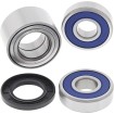 Set butuc spate #2 ALL BALLS 25-1729 Set butuc spate #2 ALL BALLS 25-1729 thumb