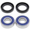 Set rulmenți pentru roată BRNG KT WHEEL FR BM ALL BALLS 25-1491-A