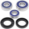 Set rulmenți pentru roată RR HO ALL BALLS 25-1603-A