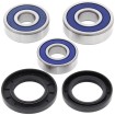 Set rulmenți pentru roată RR HO ALL BALLS 25-1603-A Set rulmenți pentru roată RR HO ALL BALLS 25-1603-A thumb