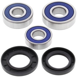 Set rulmenți pentru roată RR HO ALL BALLS 25-1603-A Set rulmenți pentru roată RR HO ALL BALLS 25-1603-A