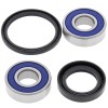 Set rulmenți pentru roată BRNG KT WHEEL FR HO ALL BALLS 25-1604-A