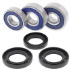 Set rulmenți pentru roată RR CG ALL BALLS 25-1605-A Set rulmenți pentru roată RR CG ALL BALLS 25-1605-A thumb