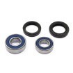 Set rulmenți pentru roată RR HO ALL BALLS 25-1652-A Set rulmenți pentru roată RR HO ALL BALLS 25-1652-A thumb