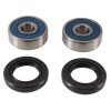 Set rulmenți pentru roată BRNG KT WHEEL FR HO ALL BALLS 25-1684-A