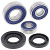 Set rulmenți pentru roată RR KT ALL BALLS 25-1731-A