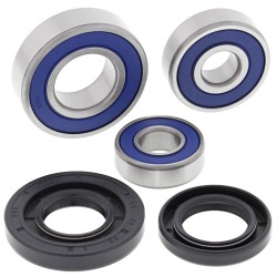 Set rulmenți pentru roată RR KT ALL BALLS 25-1731-A Set rulmenți pentru roată RR KT ALL BALLS 25-1731-A