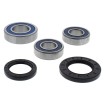 Set rulmenți pentru roată RR SU ALL BALLS 25-1749-A Set rulmenți pentru roată RR SU ALL BALLS 25-1749-A thumb