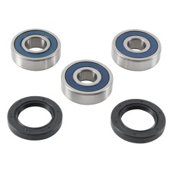 Set rulmenți pentru roată RR HO ALL BALLS 25-1755-A Set rulmenți pentru roată RR HO ALL BALLS 25-1755-A