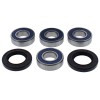 Set rulmenți pentru roată BRNG KT WHEEL FR HO ALL BALLS 25-1777-A