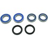 Set rulmenți pentru butuc spate DU ALL BALLS 25-1809-A