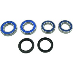 Set rulmenți pentru butuc spate DU ALL BALLS 25-1809-A