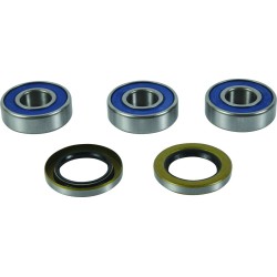 Set rulmenți pentru roată RR BM ALL BALLS 25-1813-A Set rulmenți pentru roată RR BM ALL BALLS 25-1813-A