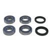 Set rulmenți pentru roată RR AP ALL BALLS 25-1818-A