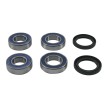 Set rulmenți pentru roată RR AP ALL BALLS 25-1818-A Set rulmenți pentru roată RR AP ALL BALLS 25-1818-A thumb