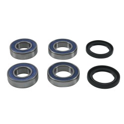 Set rulmenți pentru roată RR AP ALL BALLS 25-1818-A Set rulmenți pentru roată RR AP ALL BALLS 25-1818-A