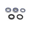 Set rulmenți pentru roată ALL BALLS 25-1823 Set rulmenți pentru roată ALL BALLS 25-1823 thumb