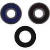 Set rulmenți pentru roată INDIAN ALL BALLS 25-1837 Set rulmenți pentru roată INDIAN ALL BALLS 25-1837 thumb
