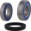 Set rulmenți pentru roată BMW ALL BALLS 25-1838 thumb