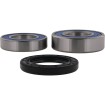 Set rulmenți pentru roată BMW ALL BALLS 25-1838 thumb