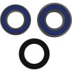 Set rulmenți pentru roată BMW ALL BALLS 25-1838 thumb