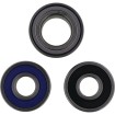 Set rulmenți pentru roată INDIAN ALL BALLS 25-1840 Set rulmenți pentru roată INDIAN ALL BALLS 25-1840 thumb