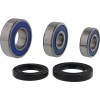 Set rulmenți pentru roată HVA ALL BALLS 25-1855