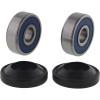 Set rulmenți roată CF MOTO ALL BALLS 25-1857