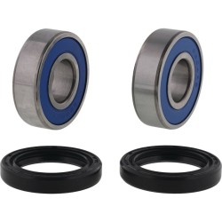 Set rulmenți roată CF MOTO ALL BALLS 25-1858 Set rulmenți roată CF MOTO ALL BALLS 25-1858