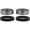 Set rulmenți roată CF MOTO ALL BALLS 25-1858 Set rulmenți roată CF MOTO ALL BALLS 25-1858 thumb