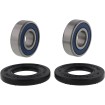 Set rulmenți pentru roată CF MOTO ALL BALLS 25-1859 Set rulmenți pentru roată CF MOTO ALL BALLS 25-1859 thumb