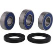 Set rulmenți pentru roată CF MOTO ALL BALLS 25-1860 thumb