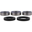 Set rulmenți pentru roată CF MOTO ALL BALLS 25-1860 thumb