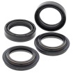 Set de garnituri pentru furcă și praf BUELL/HONDA ALL BALLS 56-123-A Set de garnituri pentru furcă și praf BUELL/HONDA ALL BALLS 56-123-A thumb