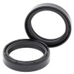 Set doar cu garnitură pentru furcă APRILIA/BMW/BUELL ALL BALLS 55-120-A thumb