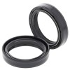Set doar cu garnitură pentru furcă APRILIA/SUZUKI ALL BALLS 55-122-A