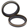 Set doar cu garnitură pentru furcă BMW ALL BALLS 55-145-A