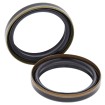 Set doar cu garnitură pentru furcă BMW ALL BALLS 55-145-A Set doar cu garnitură pentru furcă BMW ALL BALLS 55-145-A thumb