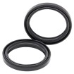 Set doar cu garnitură pentru furcă BMW ALL BALLS 55-146-A Set doar cu garnitură pentru furcă BMW ALL BALLS 55-146-A thumb