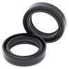 Set doar cu garnitură pentru furcă BMW ALL BALLS 55-108-A