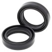 Set doar cu garnitură pentru furcă BMW ALL BALLS 55-108-A thumb