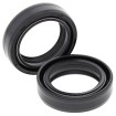 Set doar cu garnitură pentru furcă HONDA ALL BALLS 55-107-A Set doar cu garnitură pentru furcă HONDA ALL BALLS 55-107-A thumb