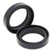 Set doar cu garnitură de furcă HONDA/KAWASAKI ALL BALLS 55-109-A
