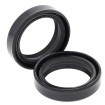Set doar cu garnitură de furcă HONDA/KAWASAKI ALL BALLS 55-109-A thumb
