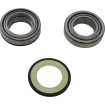 Set rulmenți și garnituri pentru coloana de direcție YAMAHA ALL BALLS 22-1055 Set rulmenți și garnituri pentru coloana de direcție YAMAHA ALL BALLS 22-1055 thumb