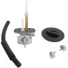 Set pentru supapă de combustibil YAM ALL BALLS FS101-0054