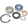 Set rulmenți și garnituri pentru cutie de lanț POLARIS ALL BALLS 14-1004